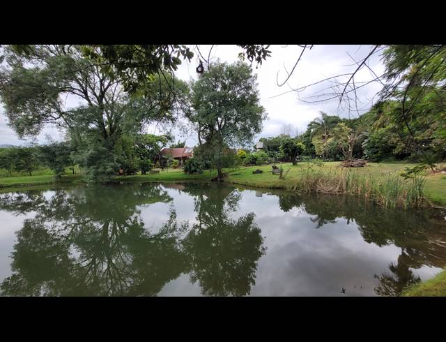 M² BED & BREAKFAST FOR SALE IN NELSPRUIT RURAL